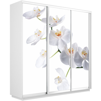 Экспресс 3-х дверный (Фото№1025 Орхидея белая)